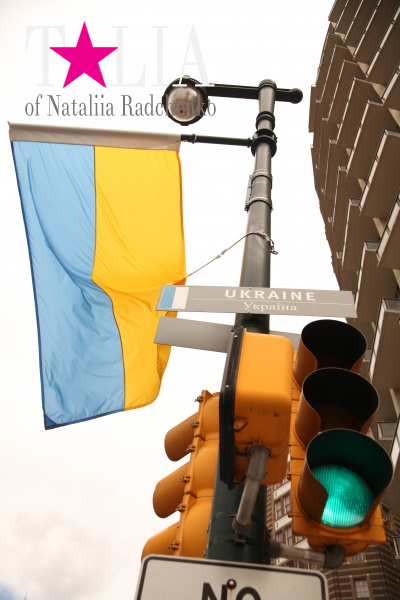 Украинский флаг на Аллее флагов, Филадельфия, США